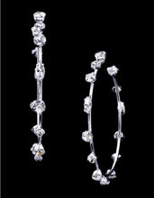 Load image into Gallery viewer, Christina Crystal Earrings
